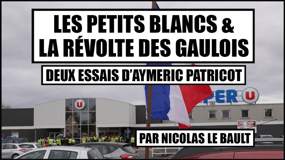 Les petits Blancs & La Révolte des Gaulois. Sur deux essais d'Aymeric Patricot